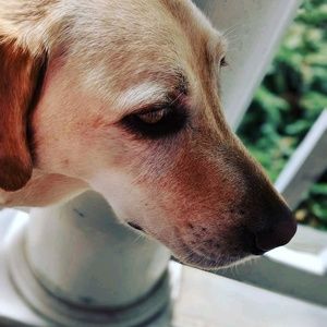 Meet your Posher, Scott